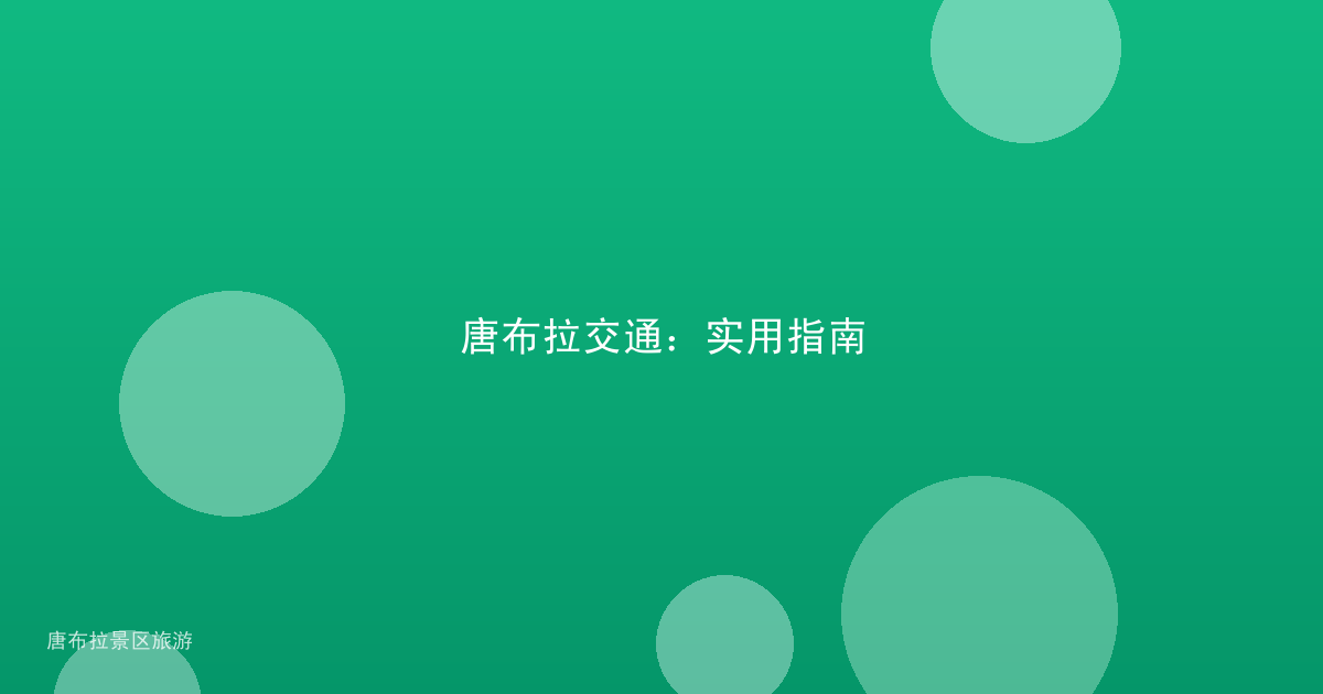 唐布拉交通:实用指南