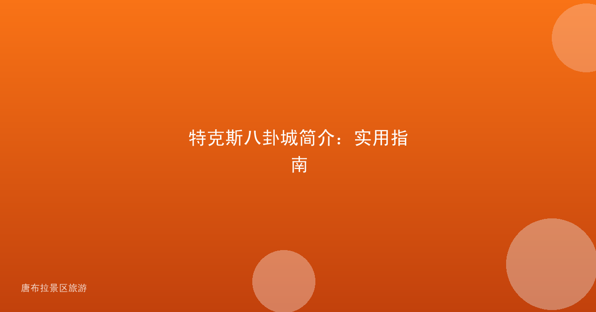 特克斯八卦城简介：实用指南