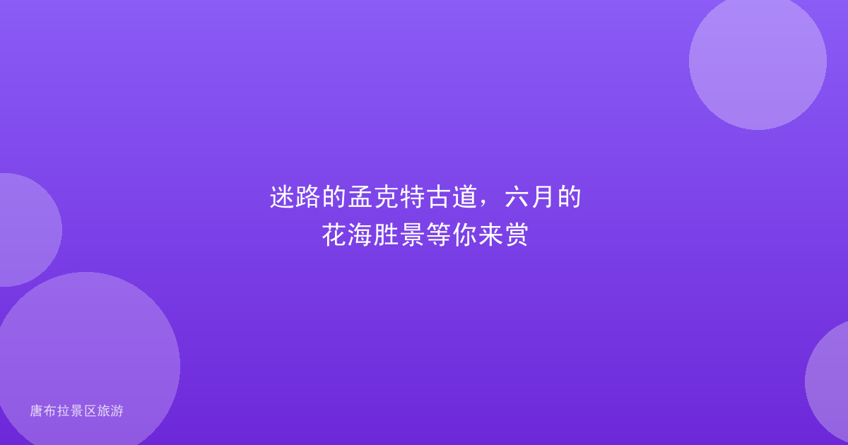 迷路的孟克特古道,六月的花海胜景等你来赏