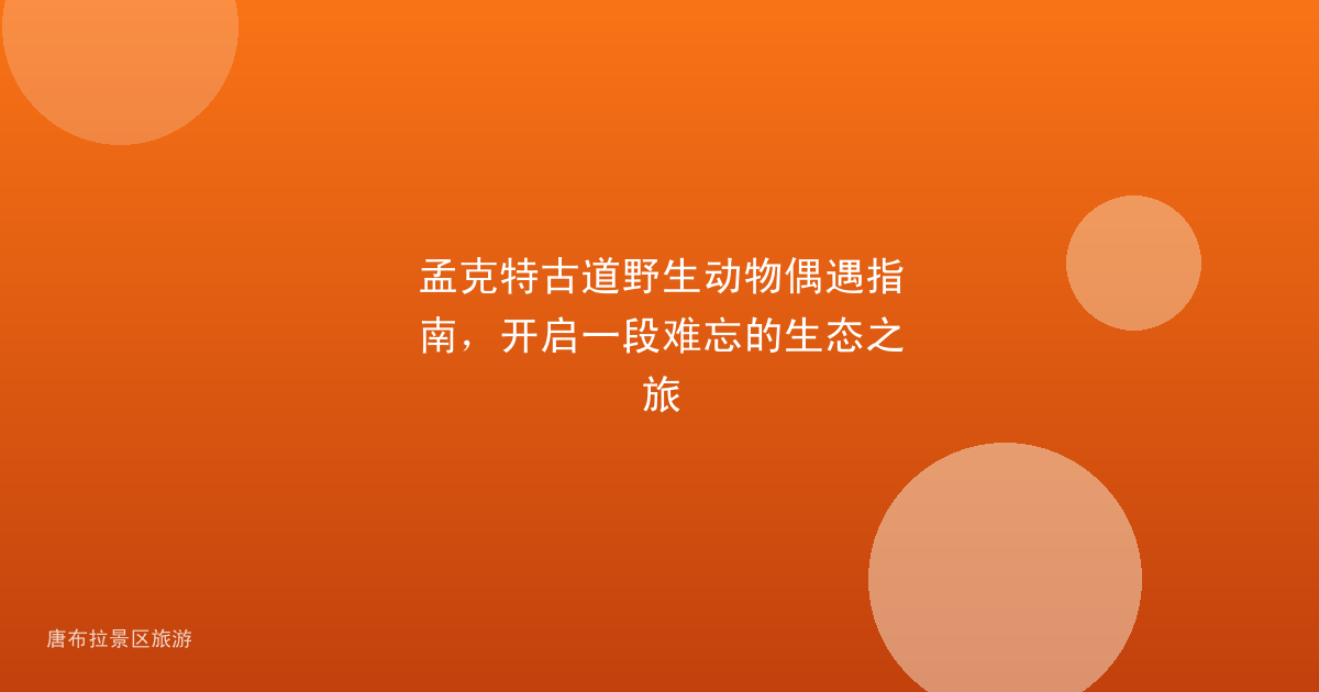 孟克特古道野生动物偶遇指南,开启一段难忘的生态之旅
