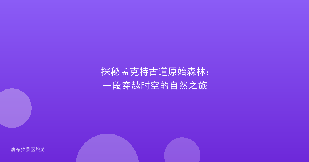 探秘孟克特古道原始森林:一段穿越时空的自然之旅