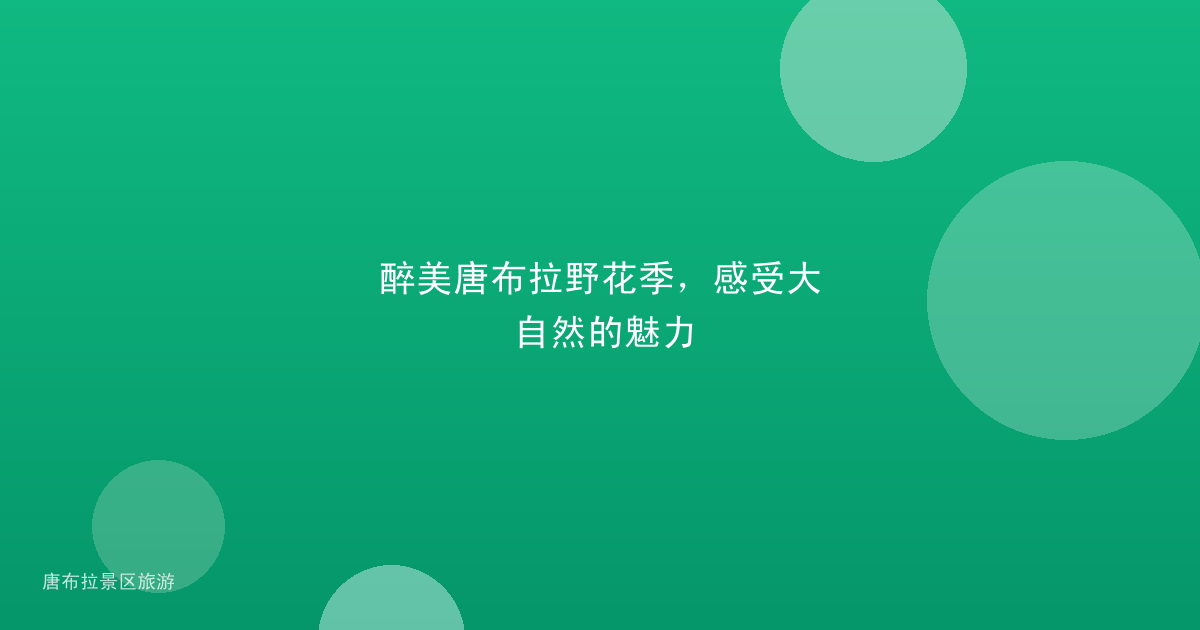 醉美唐布拉野花季，感受大自然的魅力