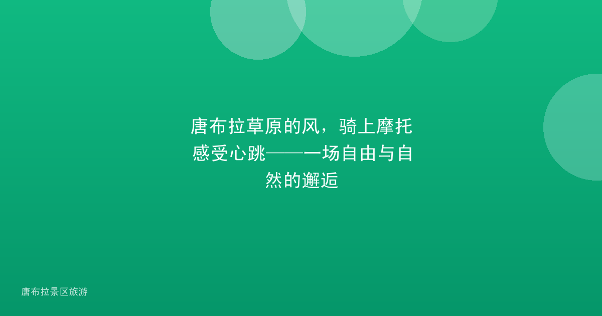 唐布拉草原的风，骑上摩托感受心跳——一场自由与自然的邂逅