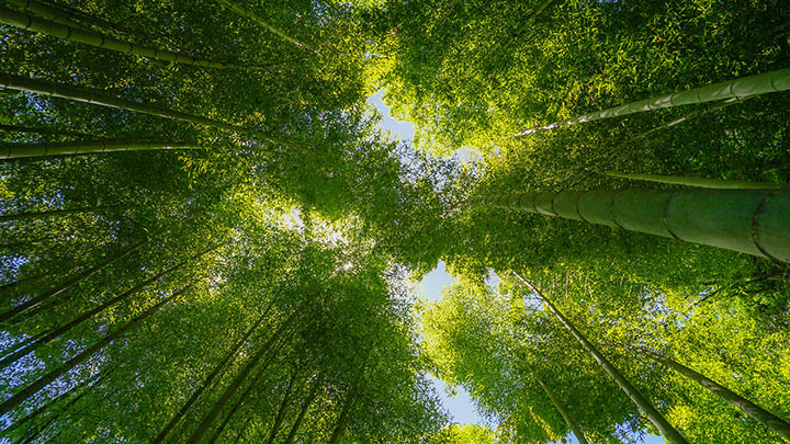 赛里木湖环湖攻略：一天时间足够，玩遍湖光山色